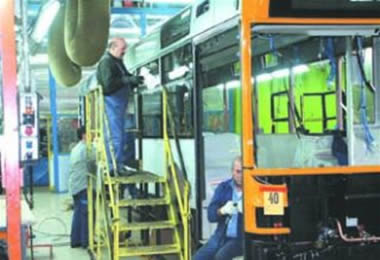 iribus