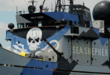 sea_shepherd