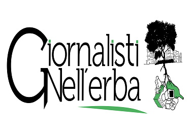 giornalisti nellerba